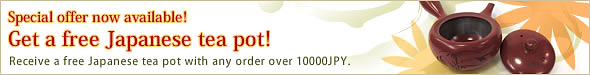 Campaign now underway! Get a present Japanese tea pot!