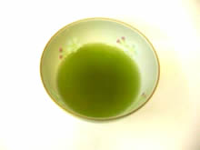 Sencha