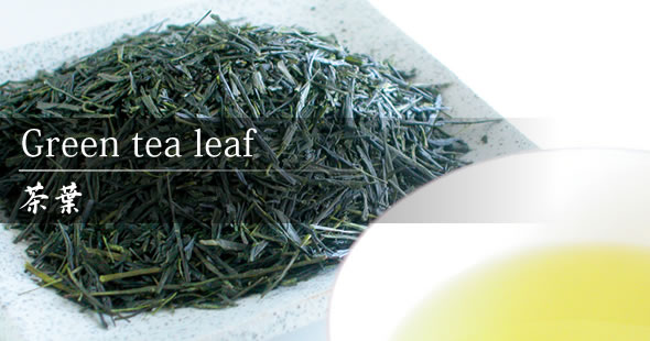 Green tea leaf Image