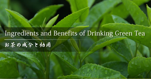 Ingredients and Benefits of Drinking Green Tea